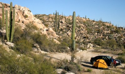 CATAVINA DESERT BAJA MEXICO - CAMPING IN THE DESERT.JPG