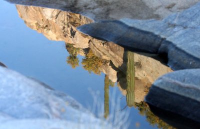 CATAVINA DESERT BAJA MEXICO - REFLECTIONS IN AN EPHEMERAL POND (4).JPG