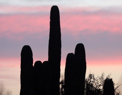 ISLA SANTA CATALINA BAJA MEXIO - SUNSET LANDSCAPES (25).JPG