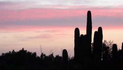 ISLA SANTA CATALINA BAJA MEXIO - SUNSET LANDSCAPES (29).JPG