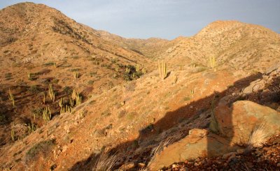 ISLA SANTA CATALINA BAJA MEXIO - VIEWS OF THE WEST SIDE OF THE ISLAND (10).JPG