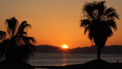 LORETO BAJA MEXICO - SUNSET FROM OASIS HOTEL - THROUGH THE PALMS (4).JPG