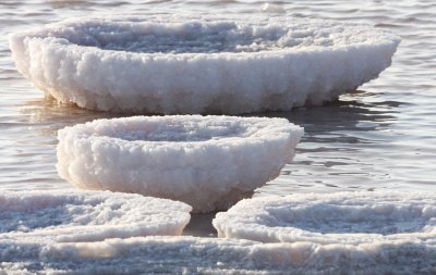 OJO DE LIEBRE LAGOON BAJA MEXICO - SALT PONDS (12).JPG