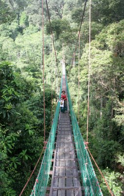 DANUM VALLEY BORNEO - CANOPY WALKWAY -  BRL (6).JPG