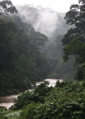 DANUM VALLEY BORNEO - RIVER VIEWS (4).JPG