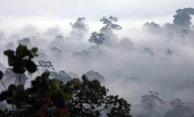 DANUM VALLEY BORNEO - SUNRISE OVER THE DANUM   (11).JPG