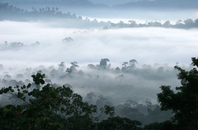 DANUM VALLEY BORNEO - SUNRISE OVER THE DANUM (13).JPG