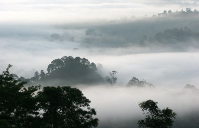 DANUM VALLEY BORNEO - SUNRISE OVER THE DANUM   (15).JPG