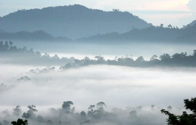 DANUM VALLEY BORNEO - SUNRISE OVER THE DANUM (5).JPG