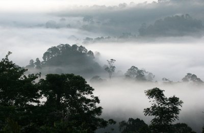 DANUM VALLEY BORNEO - SUNRISE OVER THE DANUM (6).JPG