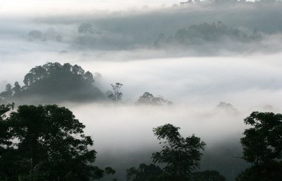 DANUM VALLEY BORNEO - SUNRISE OVER THE DANUM .JPG