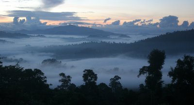 DANUM VALLEY BORNEO - SUNRISE OVER THE DANUM (12).JPG