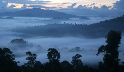 DANUM VALLEY BORNEO - SUNRISE OVER THE DANUM (21).JPG