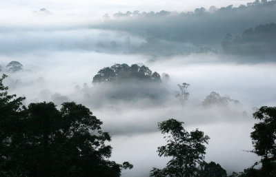 DANUM VALLEY BORNEO - SUNRISE OVER THE DANUM (22).JPG