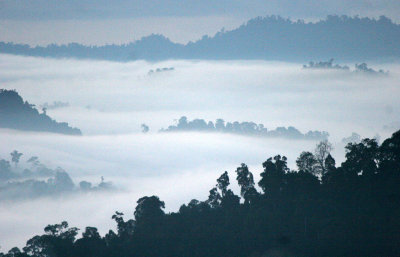 DANUM VALLEY BORNEO - SUNRISE OVER THE DANUM (30).JPG