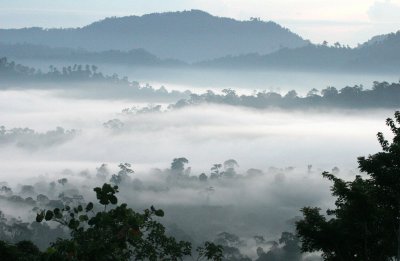 DANUM VALLEY BORNEO - SUNRISE OVER THE DANUM (40).JPG