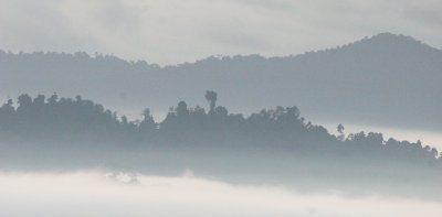 DANUM VALLEY BORNEO - SUNRISE OVER THE DANUM (57).JPG