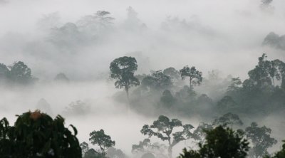 DANUM VALLEY BORNEO - SUNRISE OVER THE DANUM (59).JPG