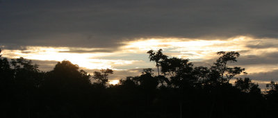 KINABATANGAN RIVER BORNEO - SUNSET SPECTACULAR (10).JPG