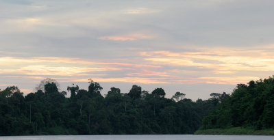 KINABATANGAN RIVER BORNEO - SUNSET SPECTACULAR (2).JPG