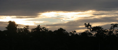 KINABATANGAN RIVER BORNEO - SUNSET SPECTACULAR (8).JPG