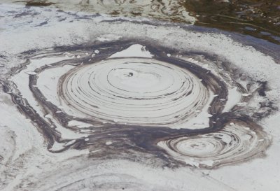 TABIN WILDLIFE RESERVE BORNEO - MUD VOLCANOES (23).JPG