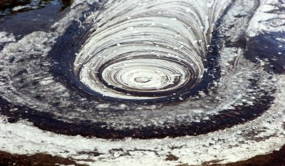 TABIN WILDLIFE RESERVE BORNEO - MUD VOLCANOES (24).JPG