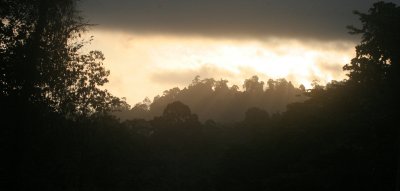 TABIN WILDLIFE RESERVE BORNEO - SUNSET.JPG