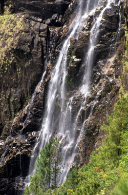 BELIZE - PINE RIDGE WATERFALLS.jpg