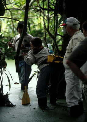 ECUADOR - AMAZONA - RAINFOREST INTERIOR - FLOODED FOREST WALK.jpg