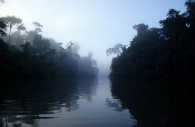 ECUADOR - AMAZONA - RAINFOREST NEAR RIVER.jpg