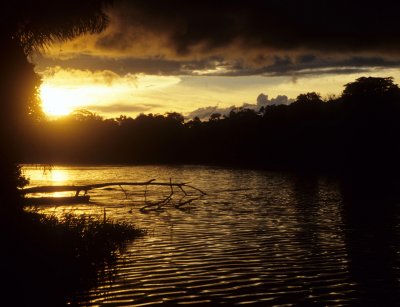 ECUADOR - AMAZONA - SUNSET B.jpg