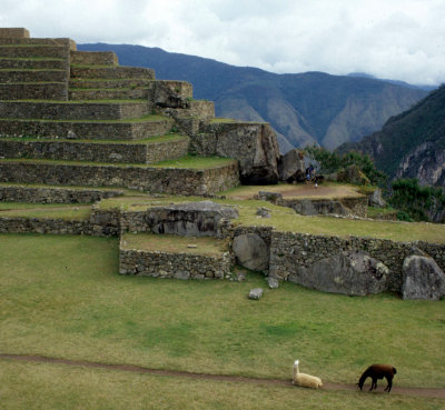 PERU - MACCHU PICCHU W1.jpg