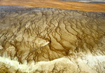 YELLOWSTONE - MAMMOTH HOTSPRINGS ER.jpg