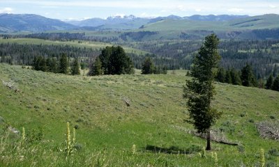 YELLOWSTONE - VIEW TO EAST.jpg