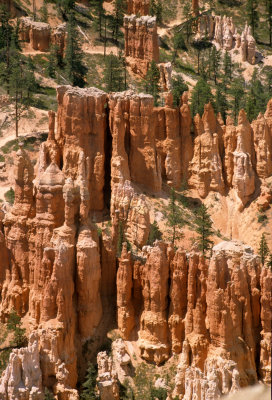 UTAH - BRYCE CANYON A.jpg