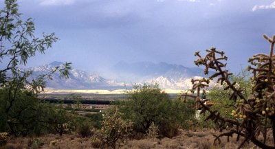 ARIZONA - MADERA CANYON.jpg