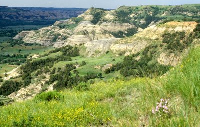 GREAT PLAINS - THEODORE ROOSEVELT NP A.jpg