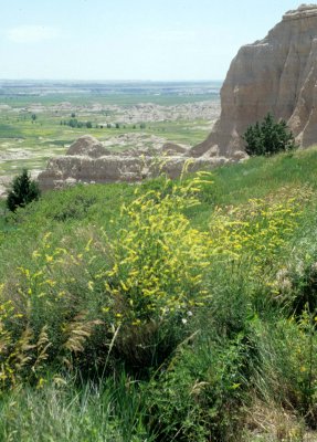 GREAT PLAINS - THEODORE ROOSEVELT NP C.jpg