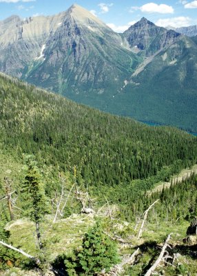 MONTANA - GLACIER - GLACIER NATIONAL PARK VIEWS (7).jpg