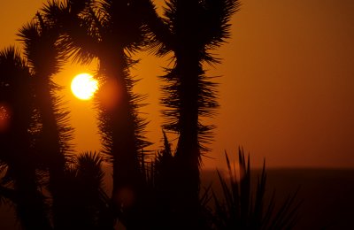 CALIFORNIA - MOJAVE NATIONAL MONUMENT (3).jpg