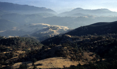 CALIFORNIA - MOUNT DIABLO - VIEW OF OAK WOODLANDS B (3).jpg