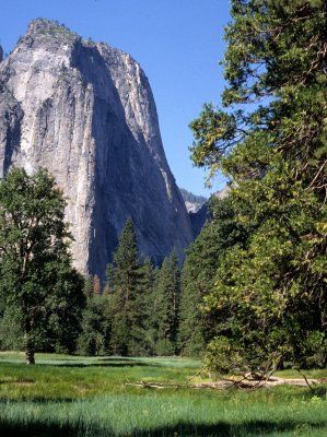 CALIFORNIA - YOSEMITE - EL CAPITAN C (4).jpg