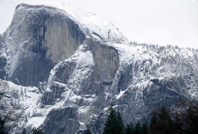 CALIFORNIA - YOSEMITE NP .jpg