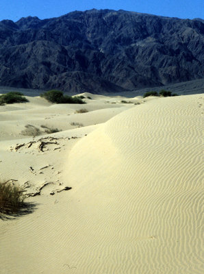 DEATH VALLEY - DUNE VIEWS (6).jpg