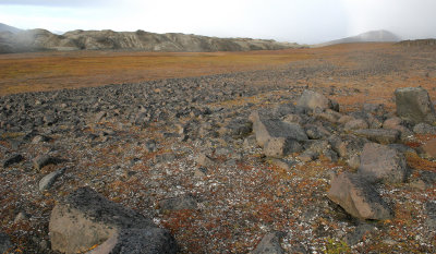 SVALBARD - BARENTSOYA ISLAND (35).jpg