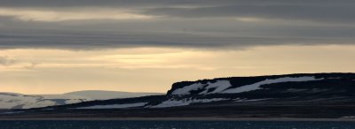 SVALBARD - HINLOPENSTREPET INLET - WALRUS HAULOUT (5).jpg