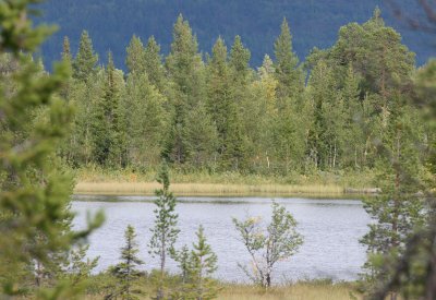Landscapes of Scandinavia