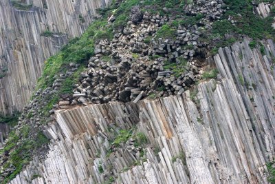 KURIL ISLANDS - FLORA (55).jpg