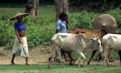 NEPAL - TERRAI VILLAGERS.jpg